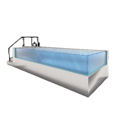 100% de PMMA virgem Acrílico importado piscina infinita Container de transporte escolar lados claros