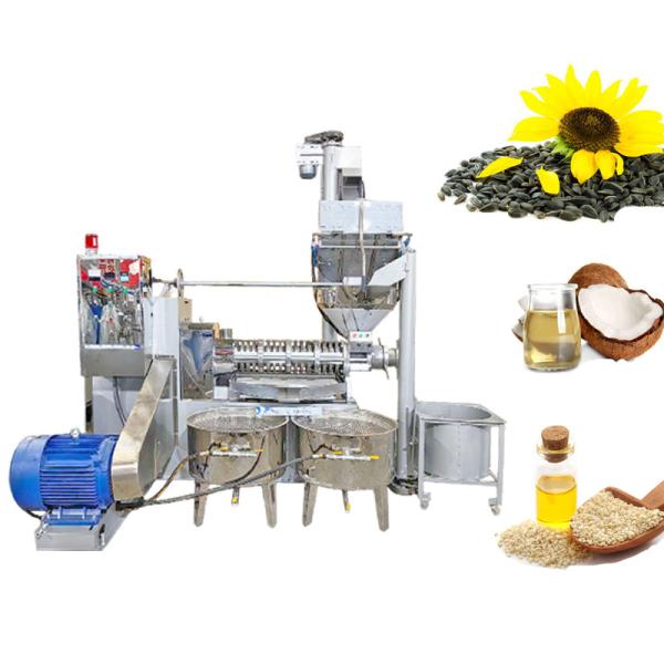 Customizable Sunflower Oil Making Machine  600-1000 kg/h Capacity
