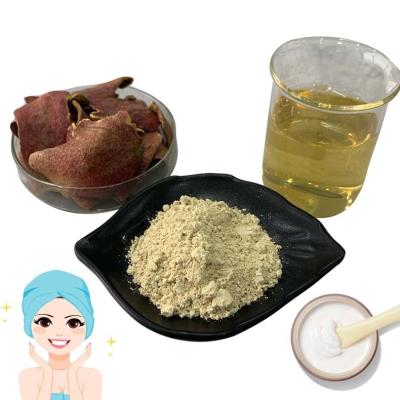 Anti Mutagen Pomegranate Peel Extract Powder Ellagic Acid 40% For Wound Healing