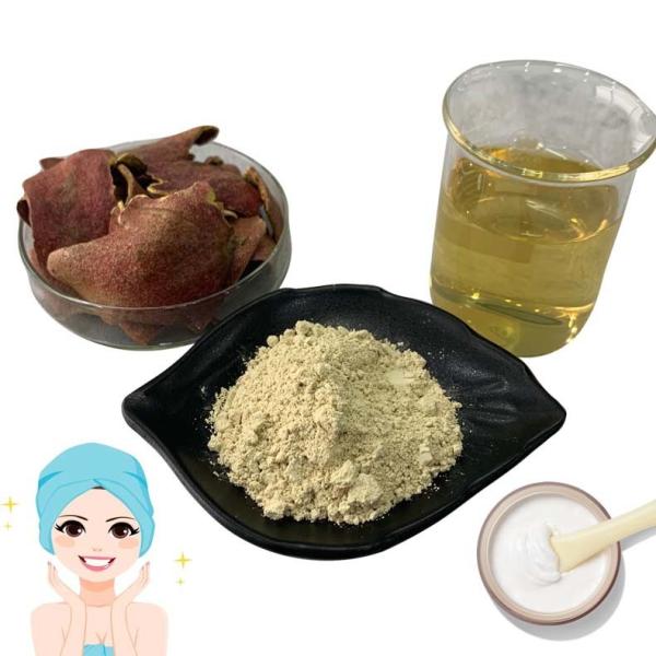 Anti Mutagen Pomegranate Peel Extract Powder Ellagic Acid 40% For Wound Healing