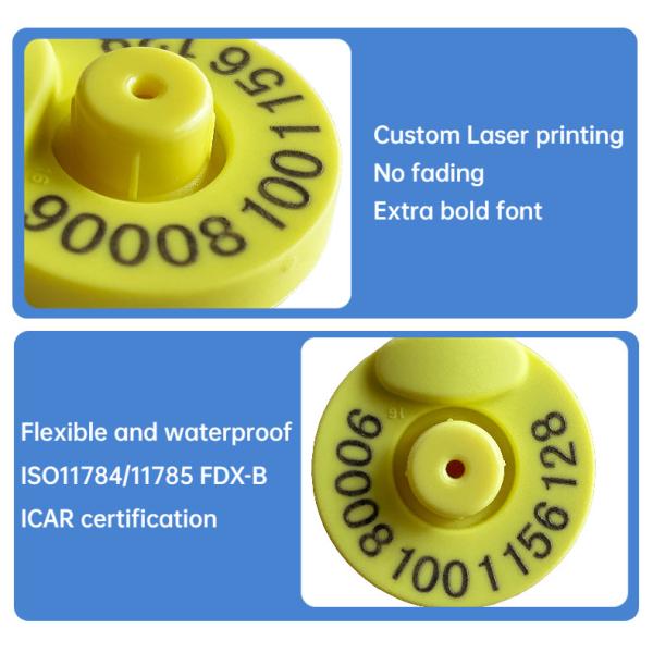 RFID Ear Tag Custom Cattle Ear Tags Упростить управление домашним скотом с помощью технологии RFID отслеживания