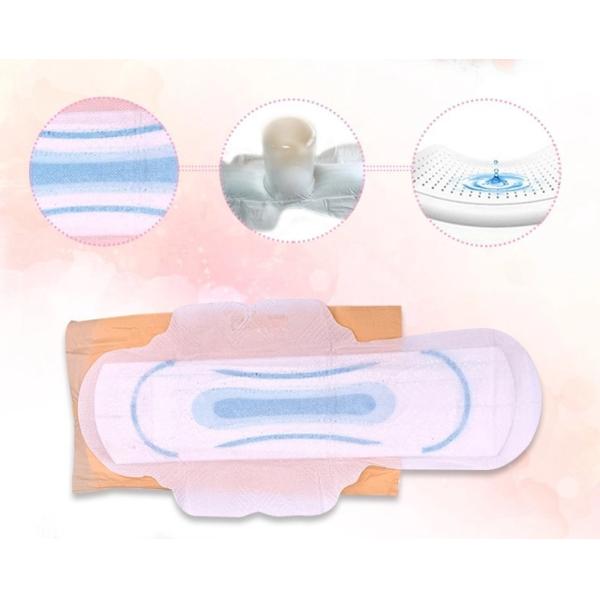 Day And Night Quick Absorption Girls Ladies Sanitary Pads