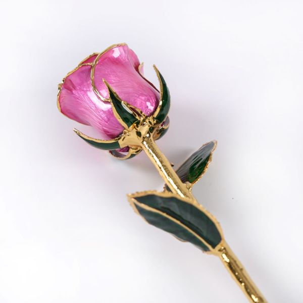European and American 24k Gold-plated Rose Gold Natural Real Rose Valentine's Day Wedding Anniversary Proposal love Gift