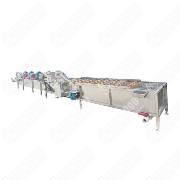 Farm Grape Processing Line Apple Washing Machine Oranges Sorting Equipment