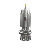 Pompes submersibles en acier inoxydable 75kw 55hp 1100m3/h 15m tête