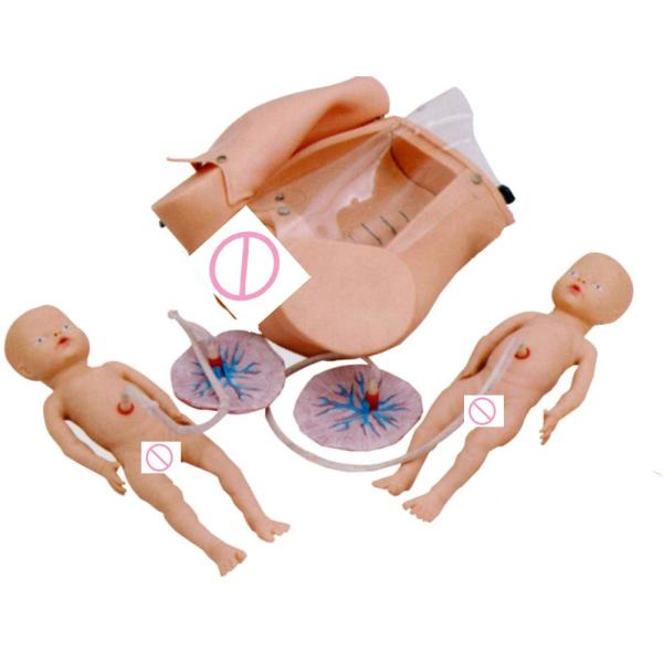 Manikin for Leopold Maneuvers and Childbirth Skills Training in Nurse-Midwife Program