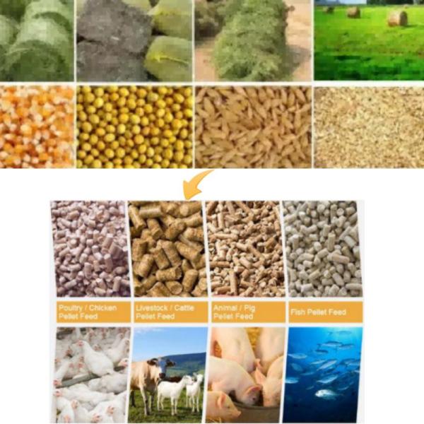 Granule de poulet de volaille de machine de moulin de granule d'alimentation de bétail de la CE faisant la machine