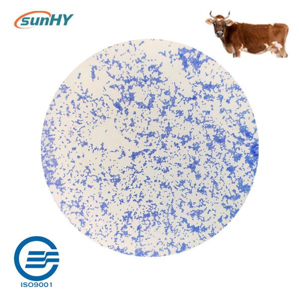 Multi 16.5 billion cfu/g Animal Probiotics Feed Additives For Ruminant
