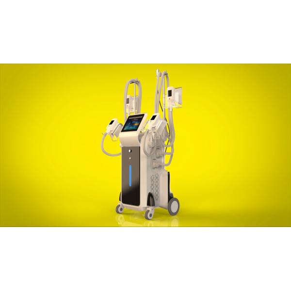 weight loss,Vacuum Cavitation System Type and Weight Loss cryolipolysis machine