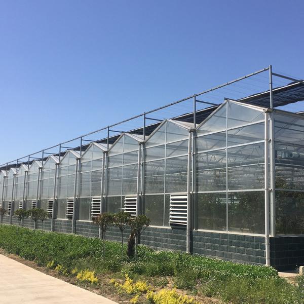 Instruction for Agricultural Glass Hydroponics System Commercial Greenhouses Frame