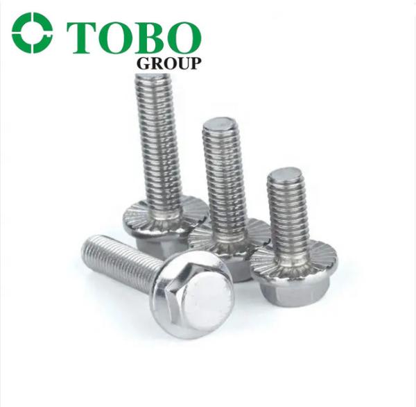 Factory Manufacture Hardware 6mm Fasteners Hexagonal Head Flange Bolts Steel 4.8/ 6.8/ 8.8/ 10.9/ 12.9 DIN6921