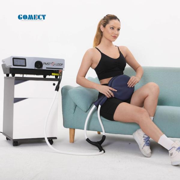 GOMECY 2 In 1 PEMF LOOP Human And Horses PMST LOOP PRO MAX Equine Physiotherapy Products For Body Pain Relief Equine