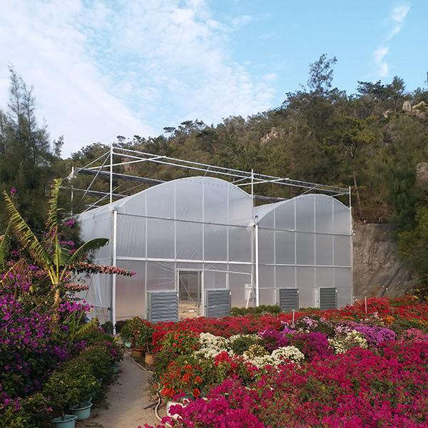 Industrial Flower Commercial High Tunnel Greenhouse With Fixed Roof Windows