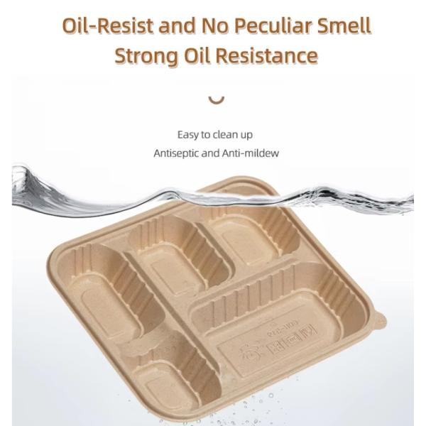 Boîte à manger en fibre de riz biodégradable à usage unique Contenant à emporter compostable Emballage alimentaire écologique