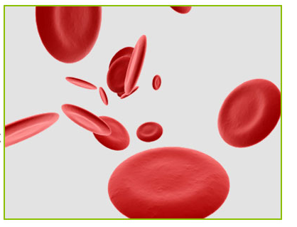 3.7V 4.2V Allergic Rhinitis Laser Treatment Machine For Nose Blood Congestion