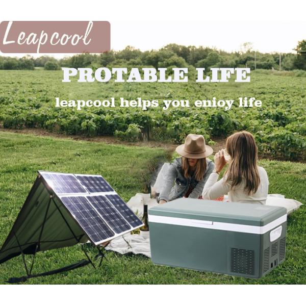 Компрессор Автомобиль холодильник AC/DC Портативный холодильник Малый охладитель Для кемпинга на открытом воздухе