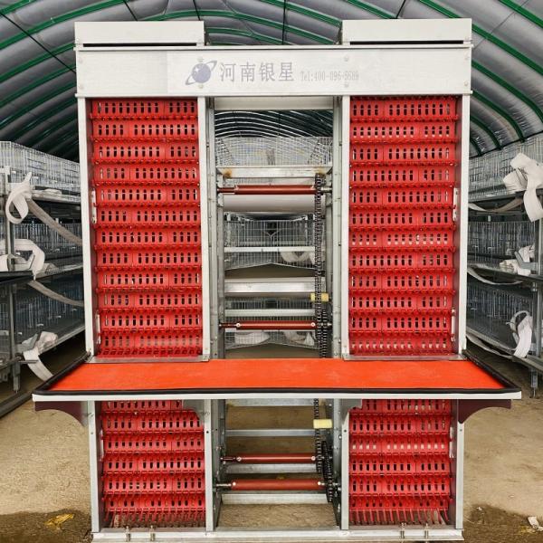 A Type 4 Tiers / Floors 128, 160 Birds Per Set Poultry Layer Cage For Laying Eggs