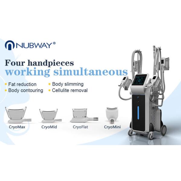 2500w big power standing cryolipolysis with 4 different size handles for whole body and double chin treatment