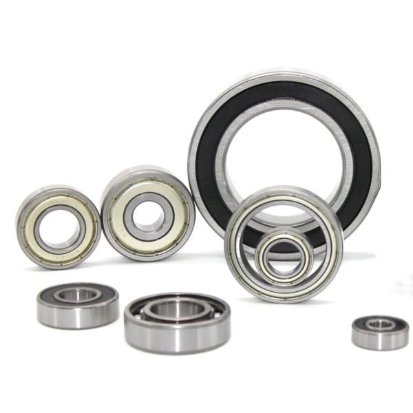Bimetal Bushing Needle Bearings Precision Rating P0 RS Stainless Bearing Hardware Fitting