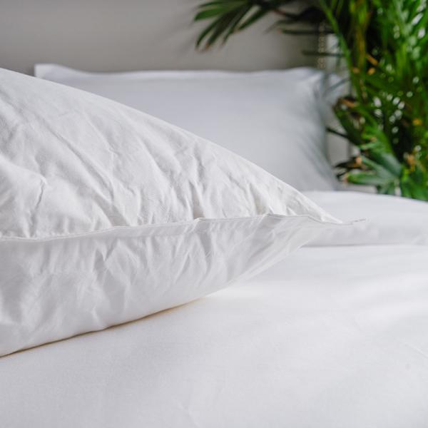 Soft Hotel Goose Down Pillows , Hotel Luxury Collection Pillows Feather Anti - Snore