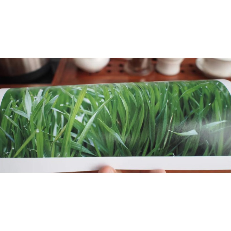 260g 5760dpi Quick Drying Waterproof Photo Paper With RC Coating For Color Prints