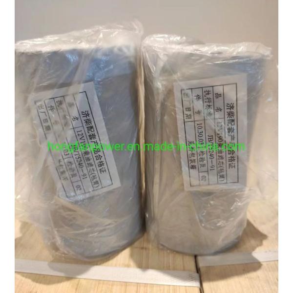 Jinan Jichai Chidong G6190zlc Diesel Engine Marine Engine Diesel Filter Felt Cartridge 12V. 10.30.03
