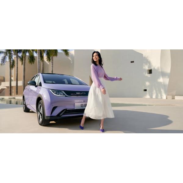 Byd Dolphin 301 km -405 km The Perfect Combination of Performance and Sustainability