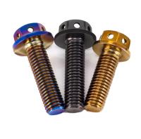 M8 M10 M20 Metal Bolt Sliver White Gold Anodized Plated Aluminum Hex Flange Bolt