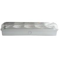 Économie d'énergie ignifuge de plafonnier de secours de la lumière LED du secours IP65