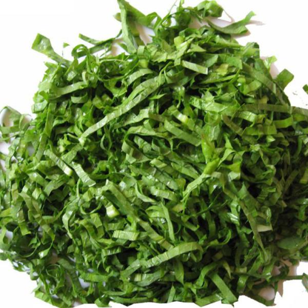 600KG/H Capacity Leafy Vegetable Processing Equipment  / Chili Cutting Machine
