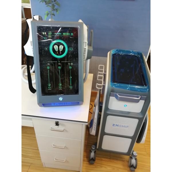 Портативная машина 100Hz скульптуры тела Hiemt Emslim с 4 ручками