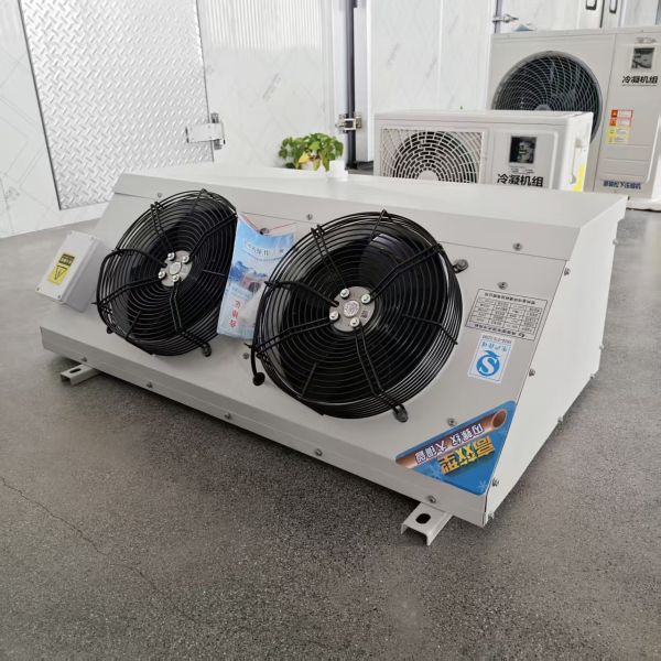 Diagonal Blower Type DD Industrial Low-Power Air Cooler for Cold Storage