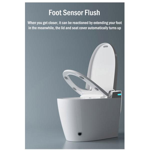 Tesia Modern Inodoro Ceramic Sensor Сантехника Автоматический туалет Напольный умный туалет для продажи