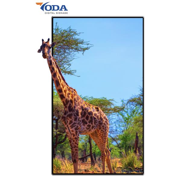 андроид SCCP Signage рекламы смертной казни через повешение стены 32in BOE квадр