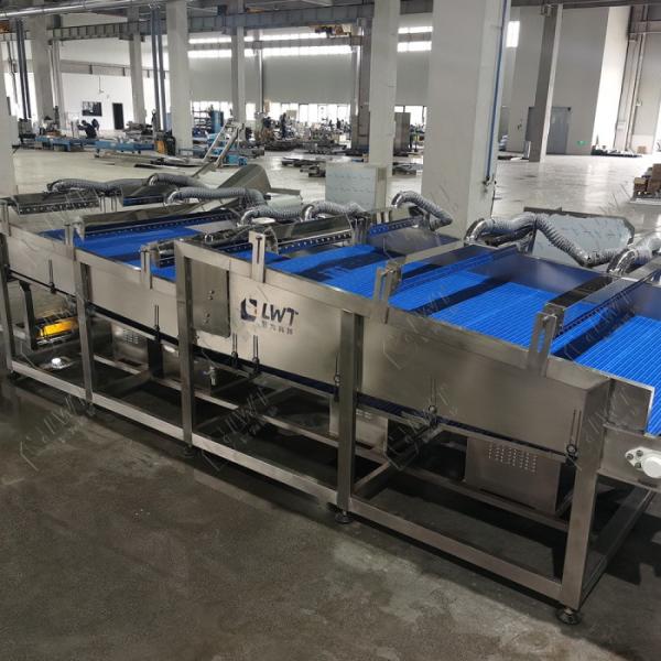 Linha de produção de legumes condimentados Linha de produção de legumes pré-cozidos, refrigerados e secados a sopro