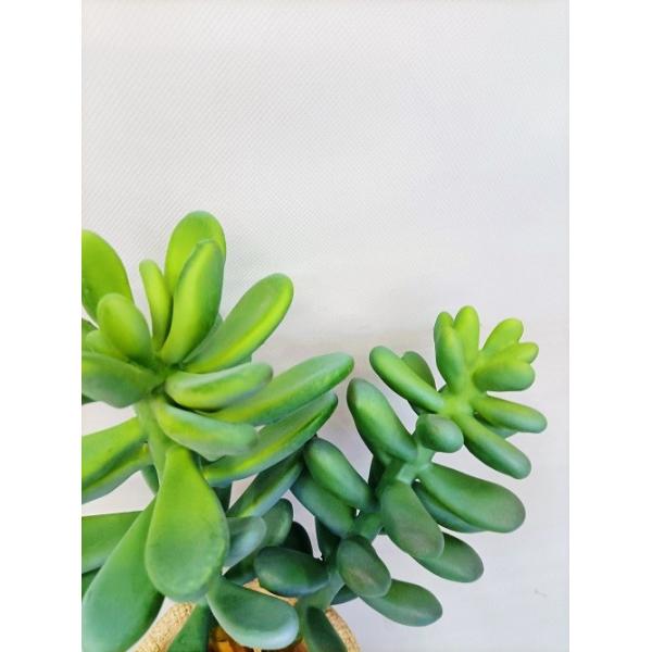 OEM Green Artificial Succulent Plant Lovely Office Desk Decoration