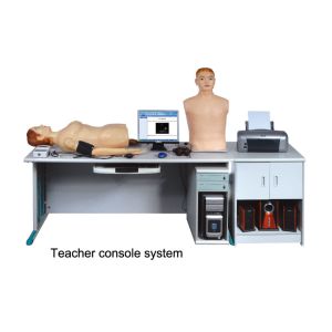 Auscultation Manikin