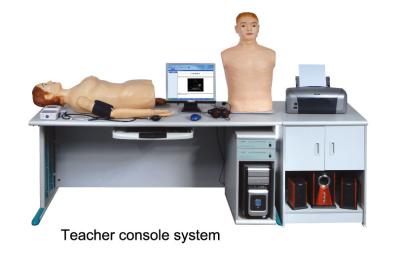 Physical Diagnosis with Heart Lung Auscultation Manikin , Medical Simulation Equipment