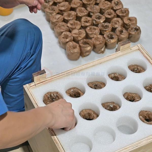 элементы винта штрангпресса 38КрМоАла облегченные для машины ЗСК/ВП/ЗПТ