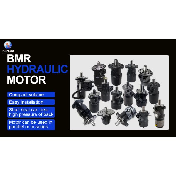 BMR Series High Torque Hydraulic Motor for Garlic Harvesters