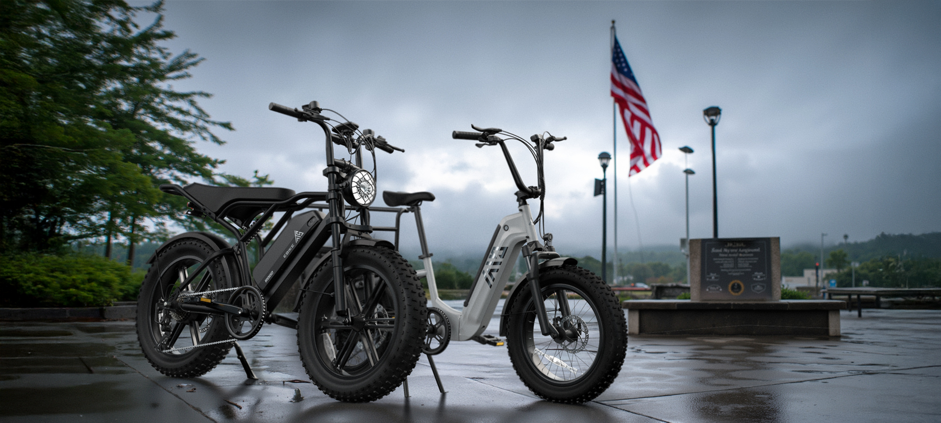 Hot Sale Carbon Steel Frame 7-Speed Double Lithium Battery 20 Inch Hydraulic Disc Brakes 48V/250W Rear Hub Motor Cargo Bike