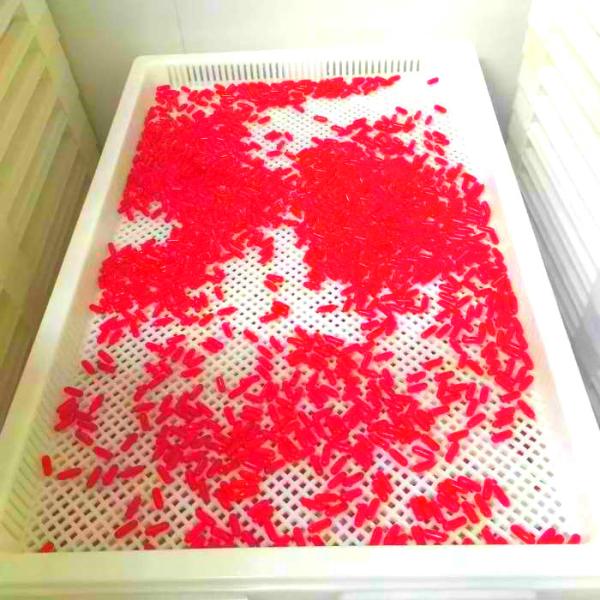 440V Soft Gelatin Capsule Paintball Encapsulation Machine