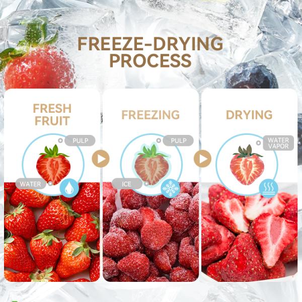 Advanced Freeze Dryer Machine Experience the Best in Fruit Preservation