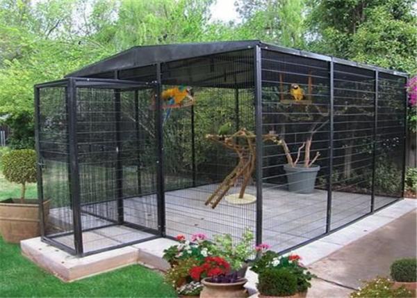 Customized  Bird Aviary /Parrot Aviary Customized Own Size