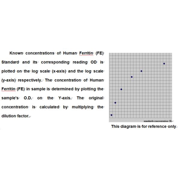 96 Wells FE Ferritin Elisa Test Human Ferritin Elisa Kit