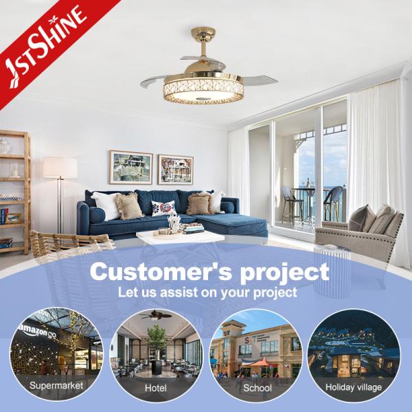 Energy Saving LED Ceiling Fan with Remote Control 3*PC Blades Modern European Style