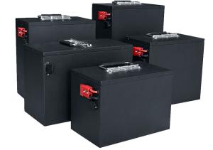 24v 48ah Lithium EV Battery Storage Battery Lifepo4 Lithium Ion Golf Cart