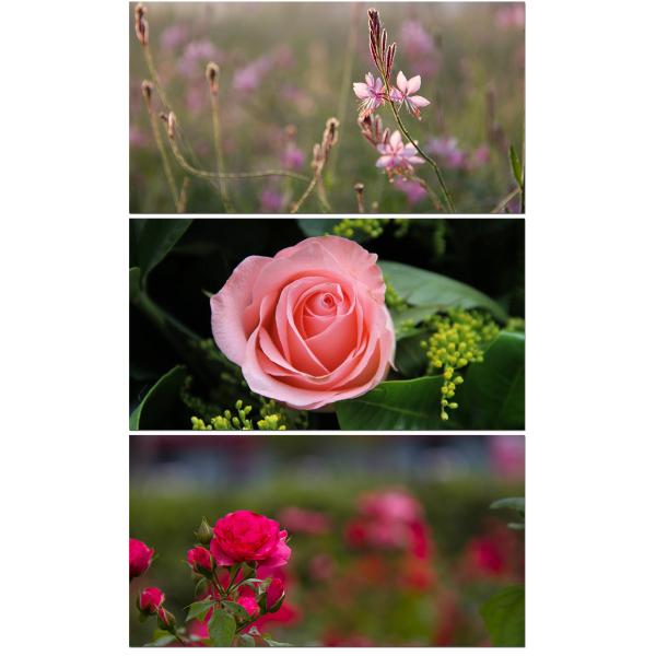 UV Protection Camera Lens UV Filter , 52mm Lens Filter Multi Coating Black Color