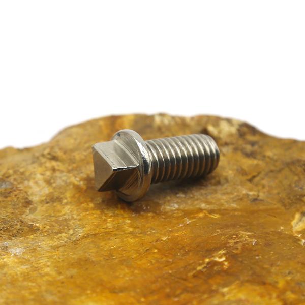 Industrial Custom Anti Theft Screw Stainless Steel Safety Fasteners