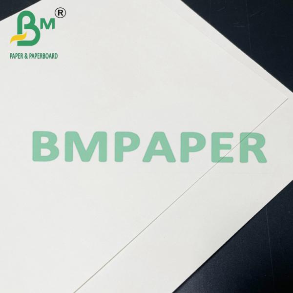 papel seguro de Cupstock do alimento de 190gsm 200gsm 210gsm para o alimento quente